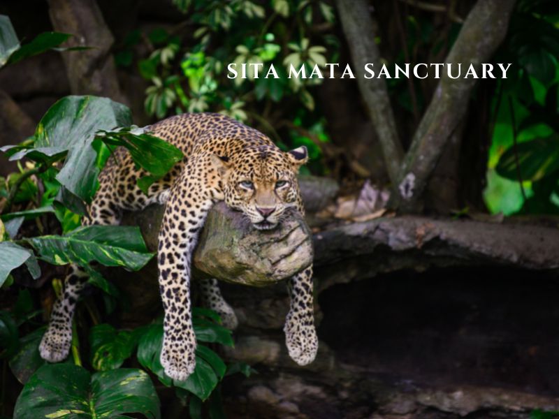 Sita Mata Sanctuary