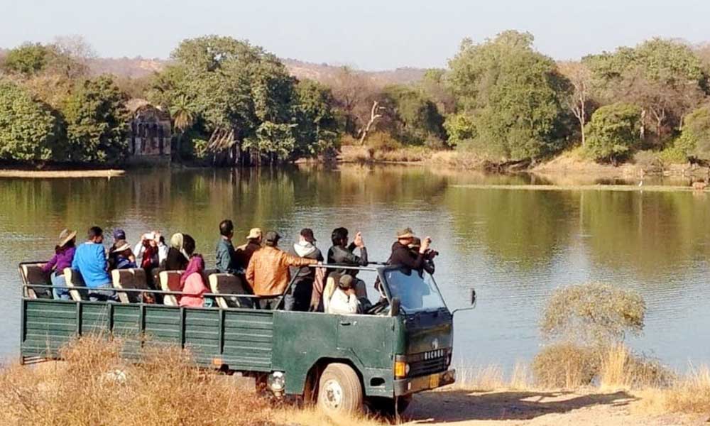 surwal lake ranthambore