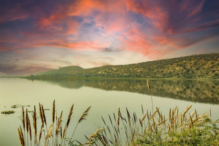 9 Best Monsoon Destination of Rajasthan Band Baretha Wildlife