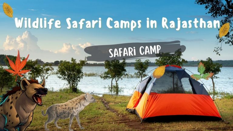 6 Best Wildlife Safari Camps in Rajasthan Safari Camps Rajasthan