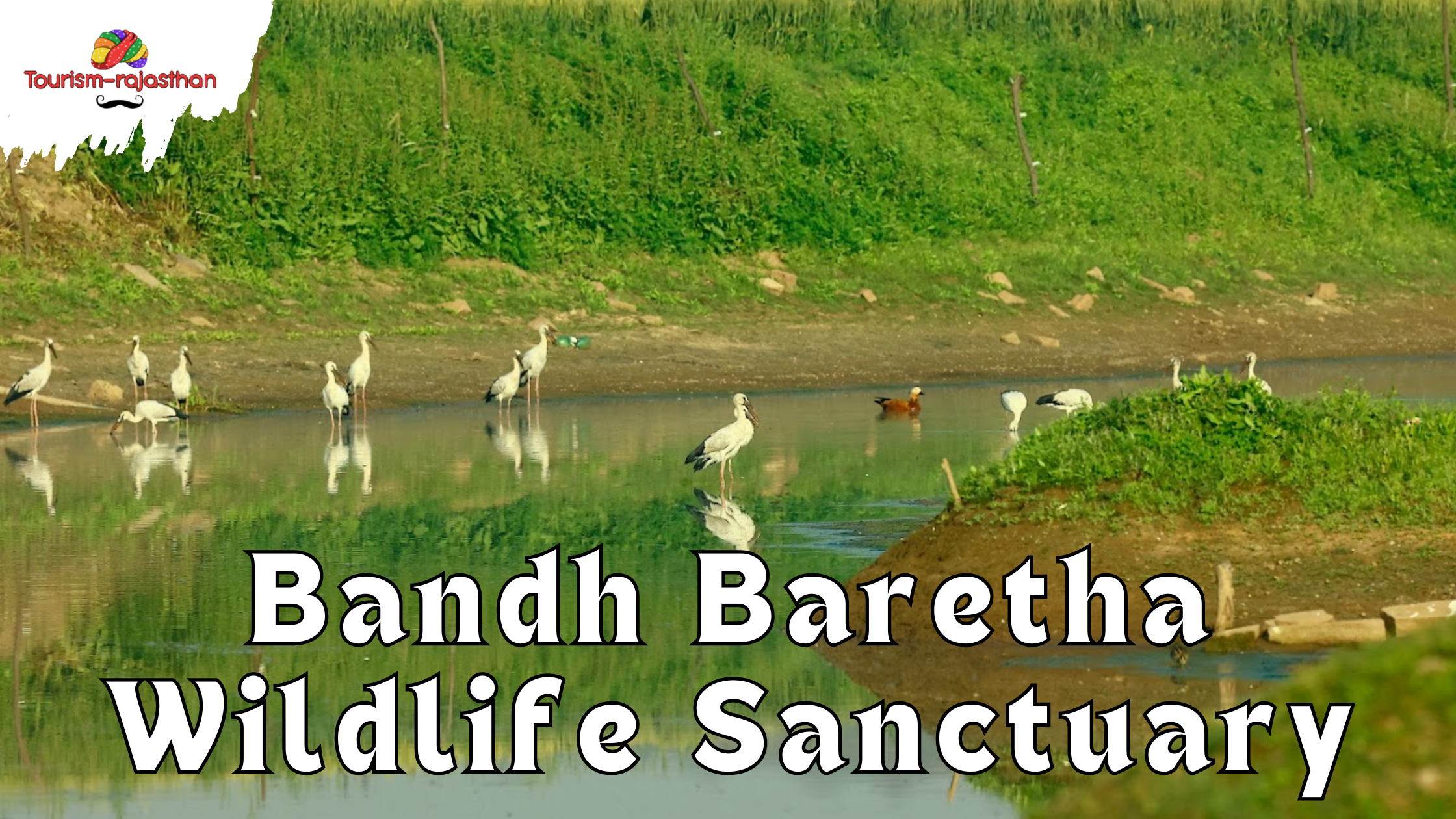 bandh baretha wildlife sanctuary
