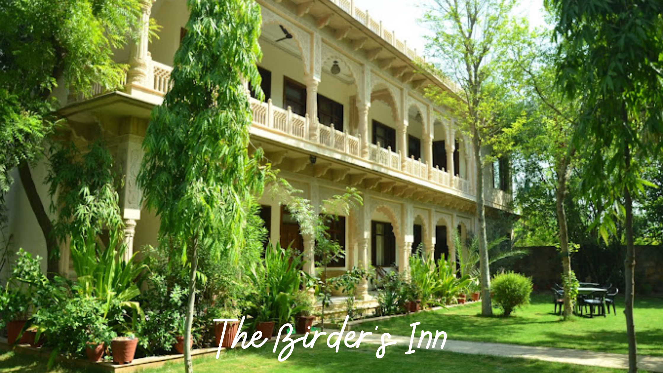 the birder's inn, bharatpur