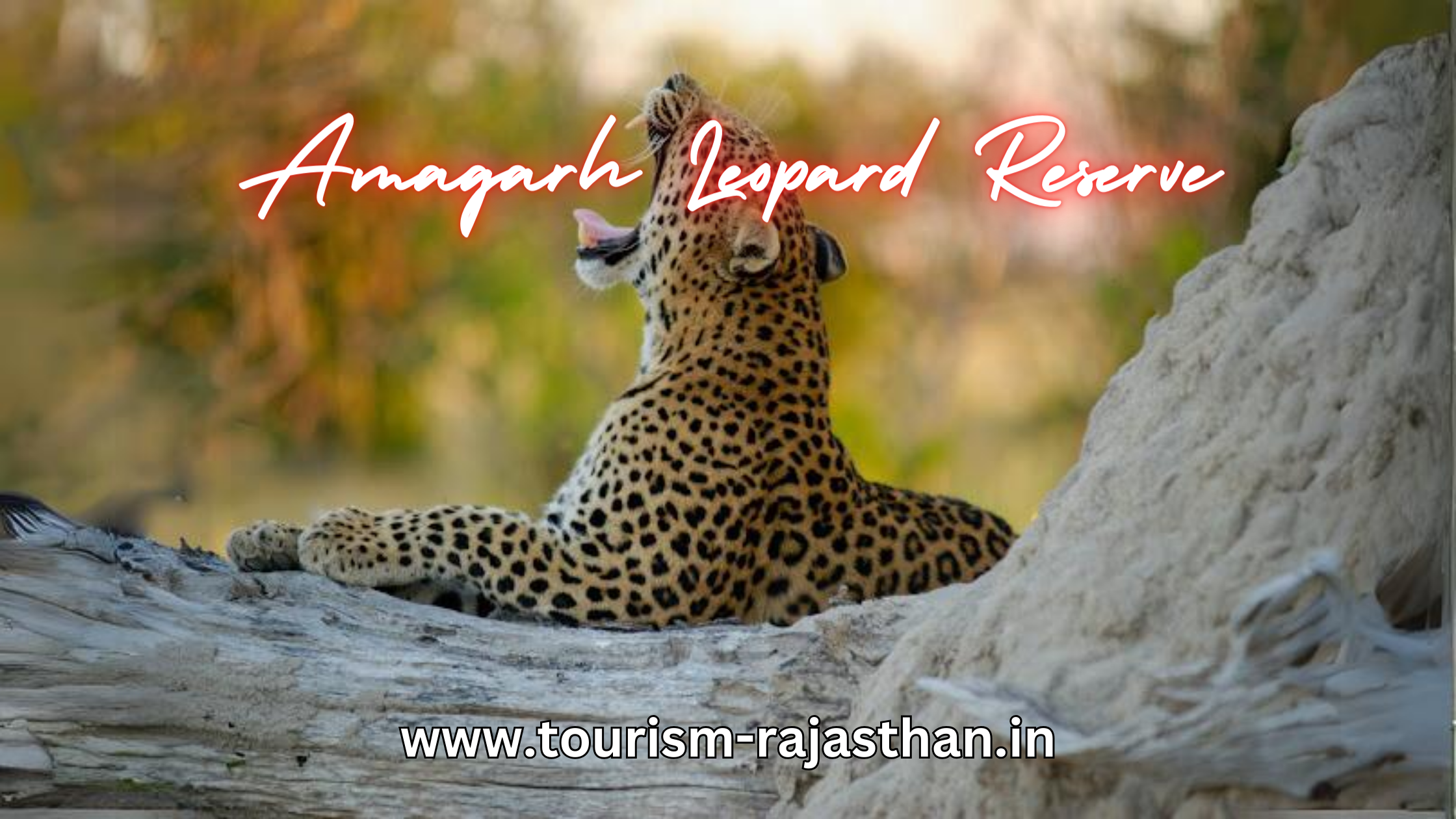 amagarh leopard reserve