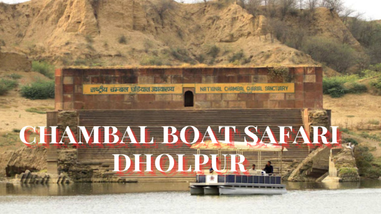 chambal boat safari dholpur