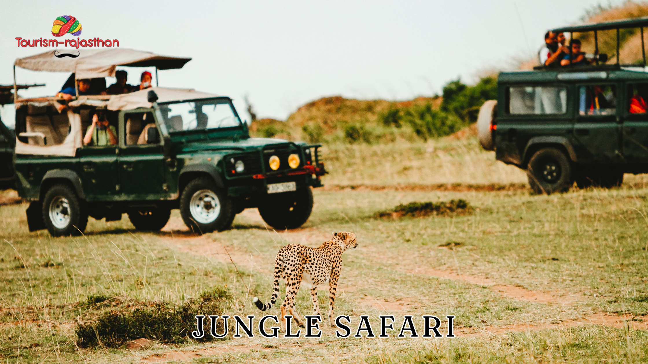 jungle safari in rajasthan