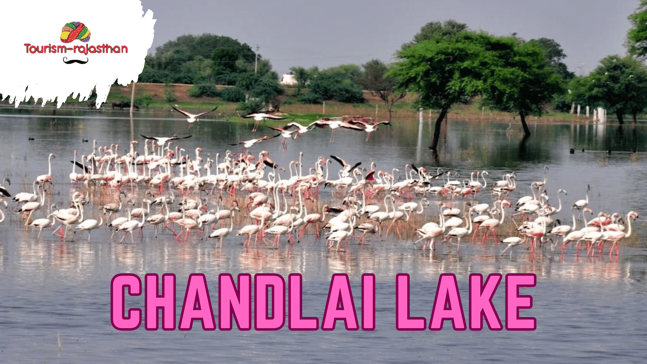 CHANDLAI LAKE