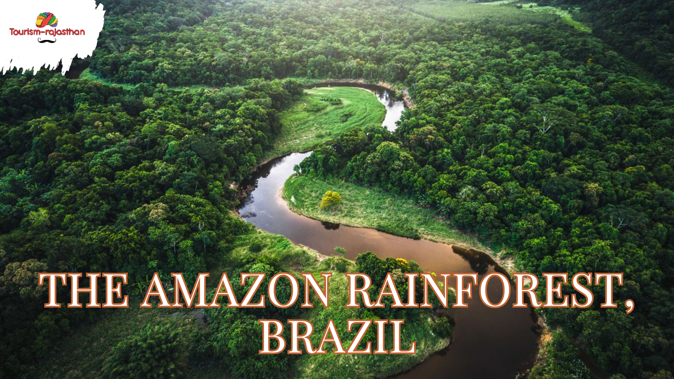 The Amazon Rainforest, Brazil