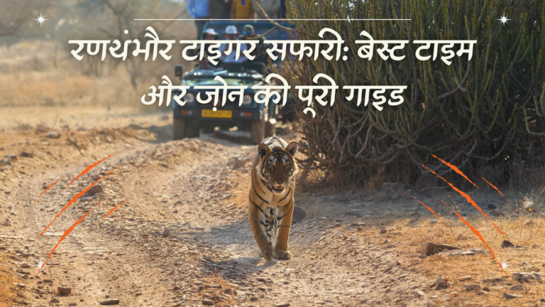 रणथंभौर टाइगर सफारी: बेस्ट टाइम और ज़ोन की पूरी गाइड