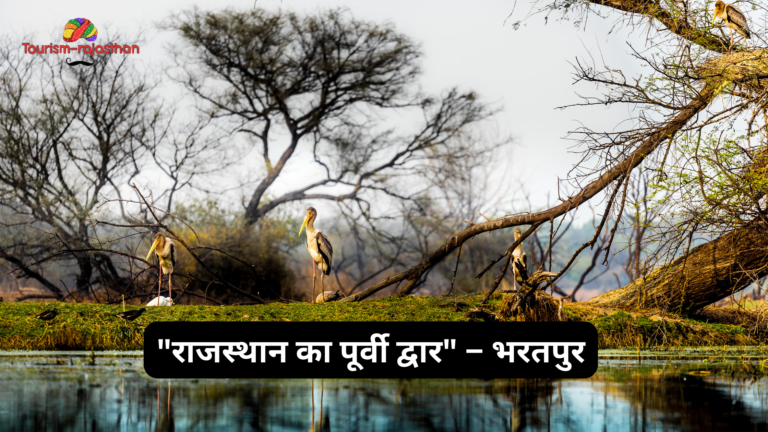 “राजस्थान का पूर्वी द्वार” – भरतपुर "राजस्थान का पूर्वी द्वार" – भरतपुर